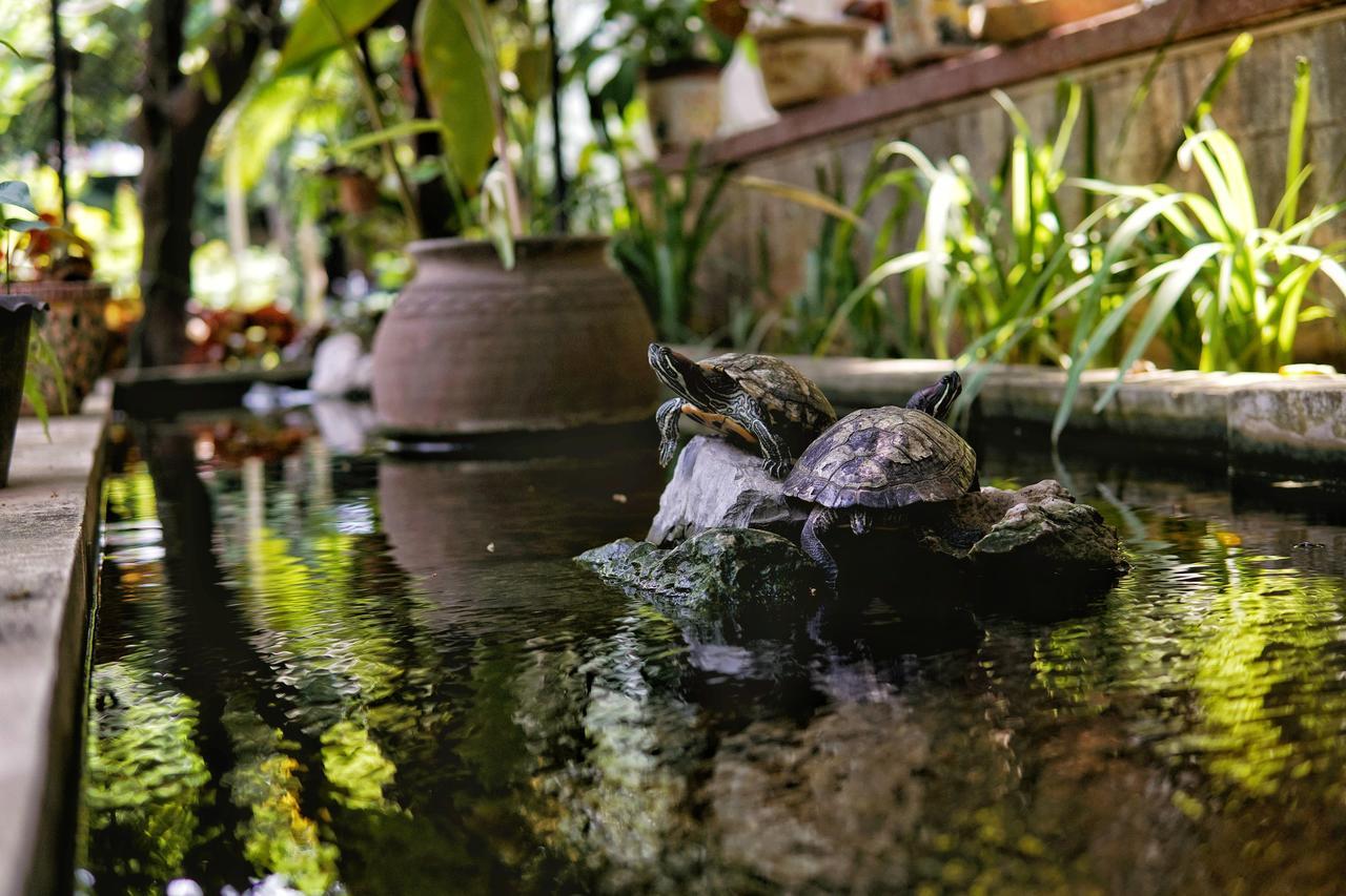Lani'S House By The Ponds Hotell Vientiane Eksteriør bilde